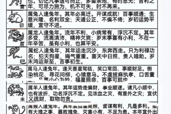 1999年兔年命缺解析：如何提升运势与生活品质？