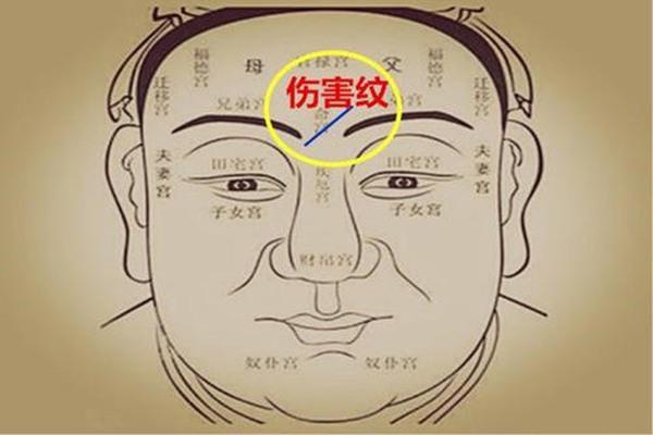 头大脖子长是什么命运？从面相看个体特征影响命运的奥秘