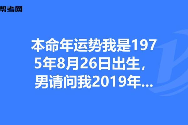 2025年是木马年：解读木马命的运势与生活智慧