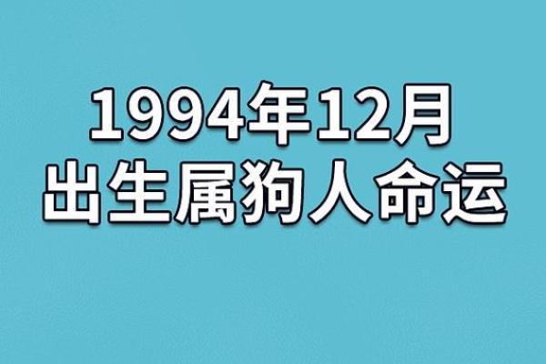 1982年出生的人命运特征及人生解析