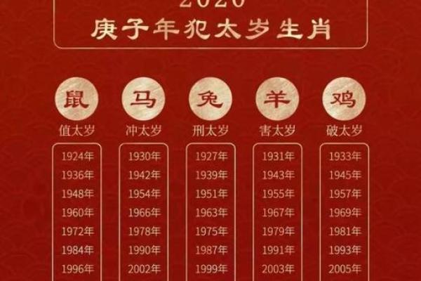 2021年属鼠人的命运解析与发展建议，让我们一起探索属于你的未来！