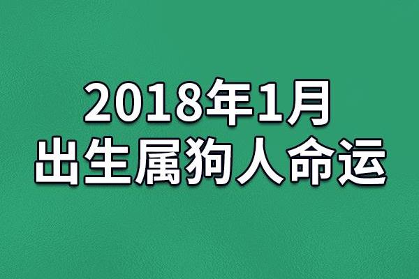 属狗正月生人命运解析：揭示不同命局的生活奥秘