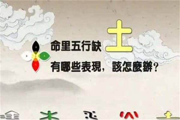 命格木旺的化解之道：如何平衡五行之美