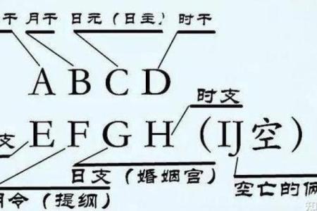 乙木命人适合什么楼层？揭秘最佳选择！