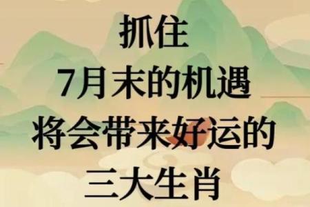 2022属兔人命运分析：如何为你的未来铺路与护航