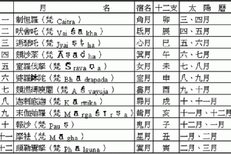 2010年腊月出生人的命运解析与未来发展