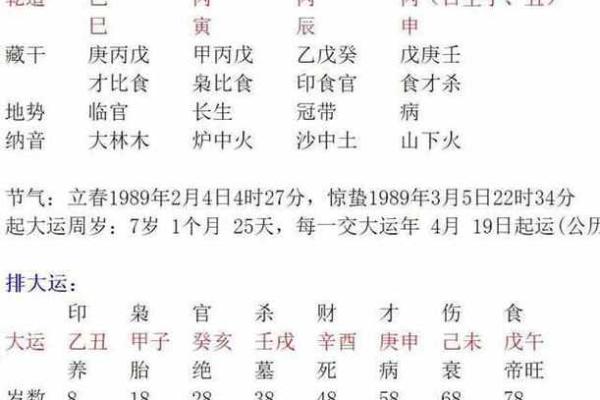 丙寅丙申：透视八字中的命理奥秘与人生机遇