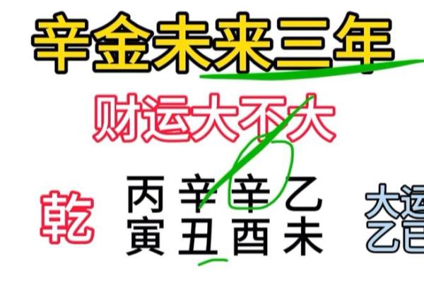 辛金命的人适合的数字与运势：深度解析与建议