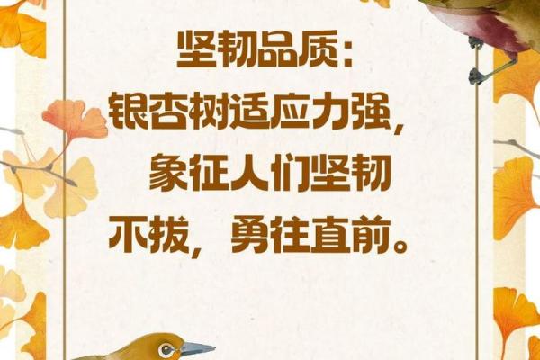 松柏木命：象征坚韧与心灵成长的上等命之道