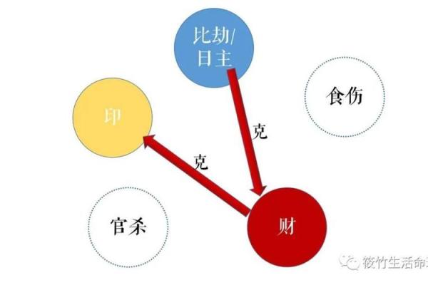 中年人伤子命理解析：寻求平衡与和谐的生活之道