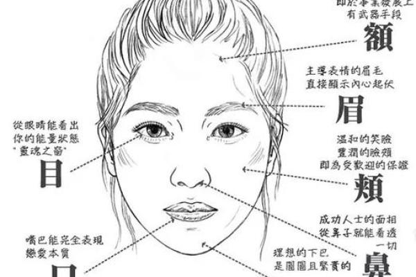 探秘五常命格：了解你的命运与性格关系