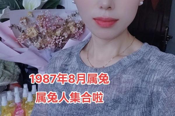 1987年属兔人的命运解析与性格特点