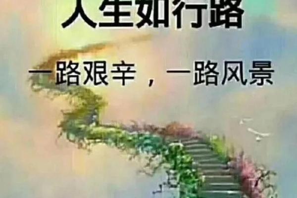 探秘命运：最具影响力的司机与人生路上的选择