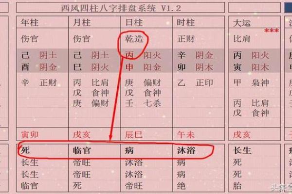 水牛命的人适合什么颜色的大门？探索八字与风水的奥秘