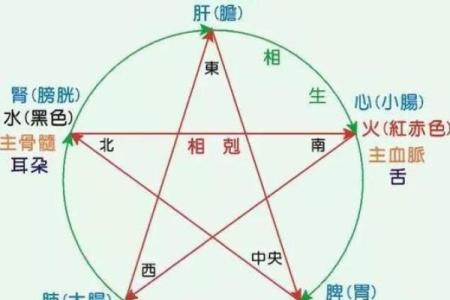 家五行属性分析：土命还是火命的深入探讨