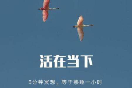 2003年巳时出生的人命运解析：掌握人生的钥匙