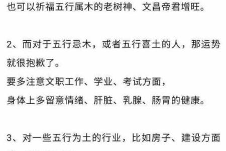 2010年出生者命理解析：风水与运势的秘密探讨