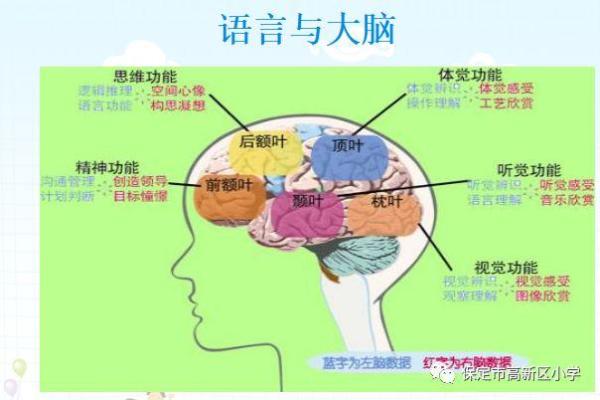 虎宝宝男孩的命格解析：未来展望与家庭教育之道