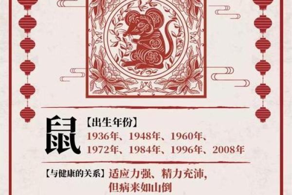 2020年鼠年命运解析：如何借助生肖运势把握人生方向