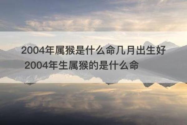 2028年属猴人的命运解析：天赋与挑战并存的精彩人生