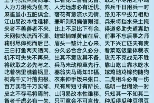 绳命：不可忽视的生活哲理与成语解读