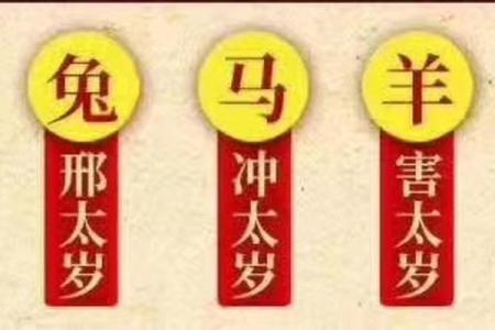 2020年属鼠人命理解析：水命的智慧与挑战分享