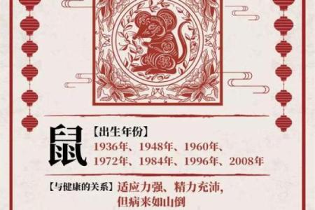 2020年鼠年命运解析：如何借助生肖运势把握人生方向