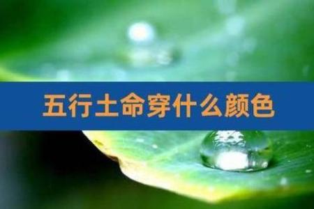 土命之人：如何利用土属性提升运势与生活质量