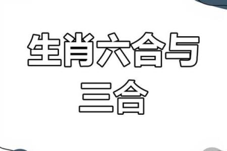 水命与生肖配对：哪个生肖最契合？