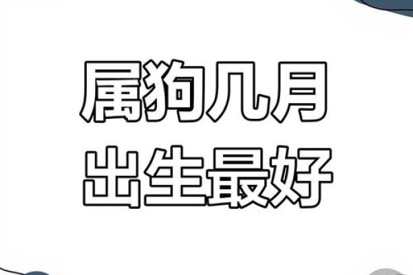 2019年属狗人命运解析：把握机遇，迎接挑战之年！