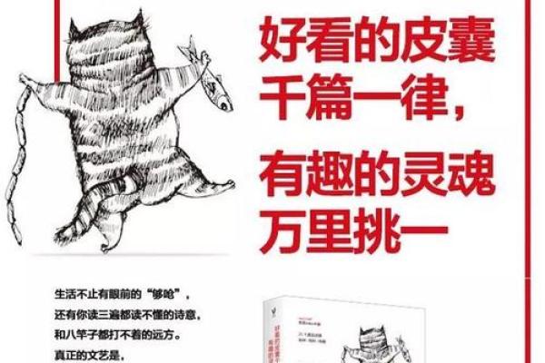 探寻灵魂背后的故事：前世是将军的命运之谜