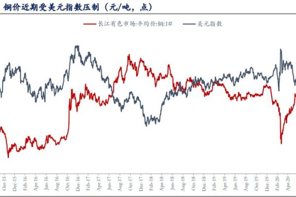 命多金公司：创造财富新未来的启示与探索