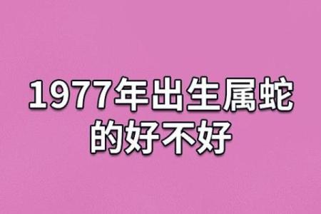 1913年属蛇的命理解析与人生运势指南