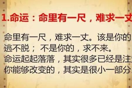 满命九条与零命九条的区别解析，让你轻松掌握命理奥秘！