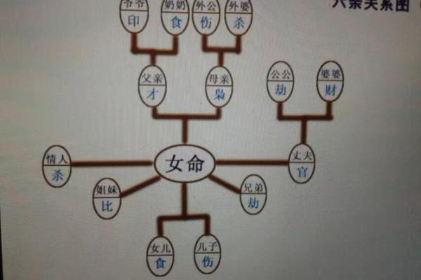 食伤在女命中的意义与影响探讨