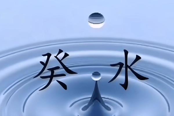 水命属相详解：解析水命者的性格与生辰八字