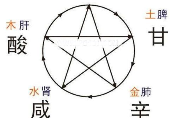 1979乙未年命运解析：从五行看人生之路的起伏与希望