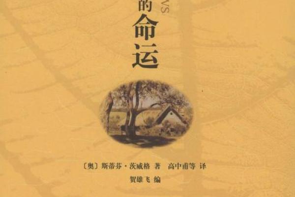 65年正月出生的人命运解析——探索他们的性格与未来