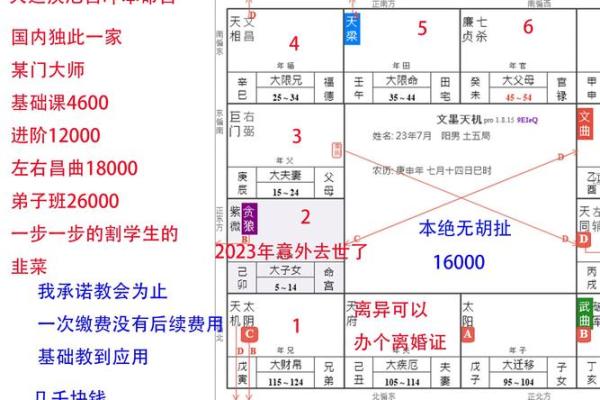 通过星盘解读命格：揭示你的人生潜力与发展方向