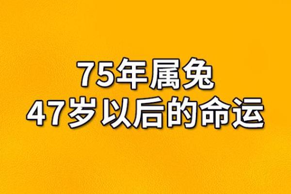 探秘1984年属兔人的命运与性格特征，揭示成功与幸福之路！