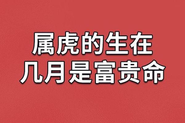 农历7月20出生的人命运解析：赋予他们的力量与挑战