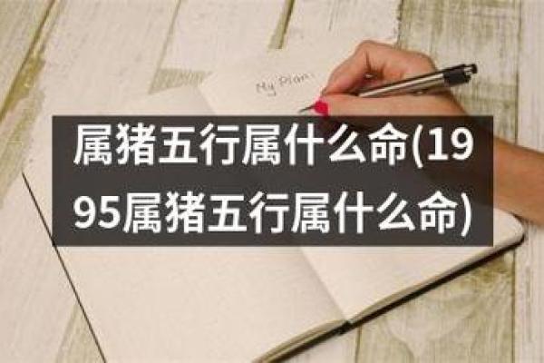 揭开猪年男孩的命格秘密，探索命运与性格的奥秘！