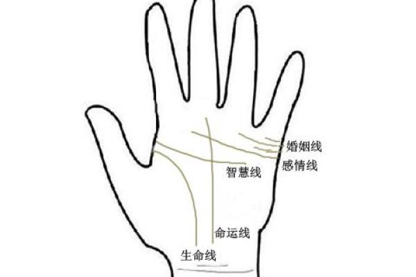 神秘的命运：1976腊月14出生之人之命理解析