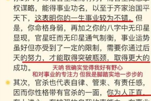 什么人什么命，命理背后的深意与启示