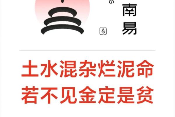 什么人什么命，命理背后的深意与启示