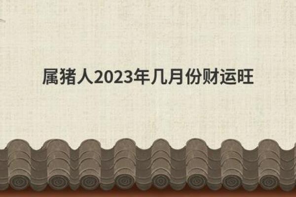 2023年属猪人的命运与生活智慧探索