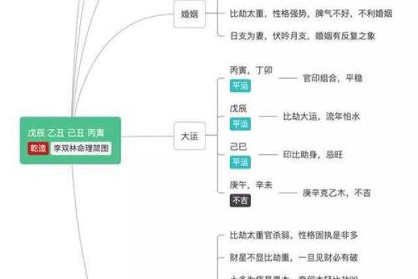 2009年牛年命理解析：探秘“己丑”背后的秘密与人生机遇