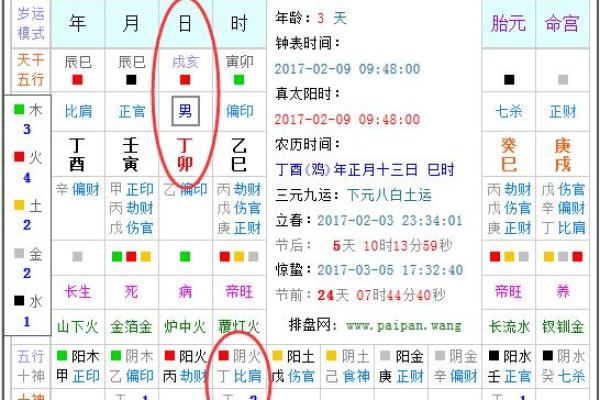 如何通过木命划分木的种类与性质：掌握五行理论的奥秘