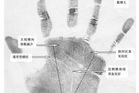 手纹解密：从手纹线看你的人生命运与性格特征