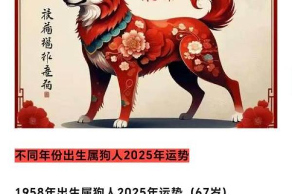 属狗人2023年10月运势分析：事业、财运与情感三重奏